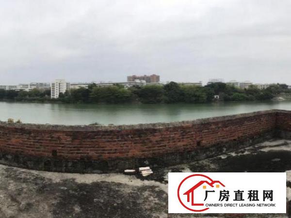  万江石美滘杯村一线江景私宅放租！