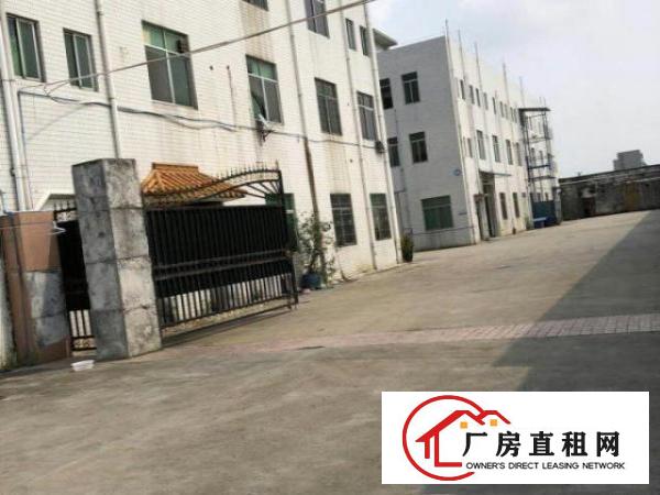  万江工业区标准一楼1000平方招租水电齐全、交通方便