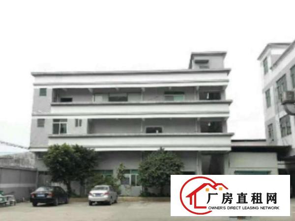  万江独院标准厂房3层1500平方出租