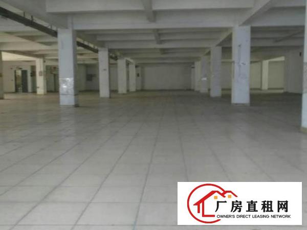  万江新出标准厂房1500平方带办公室装修