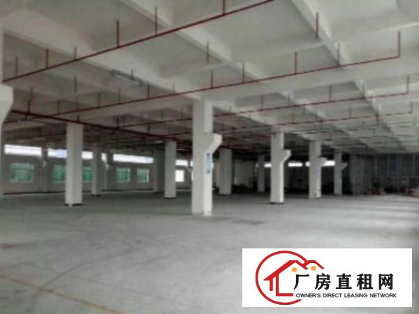  万江简沙洲港口大道边1400平方厂房仓库出租