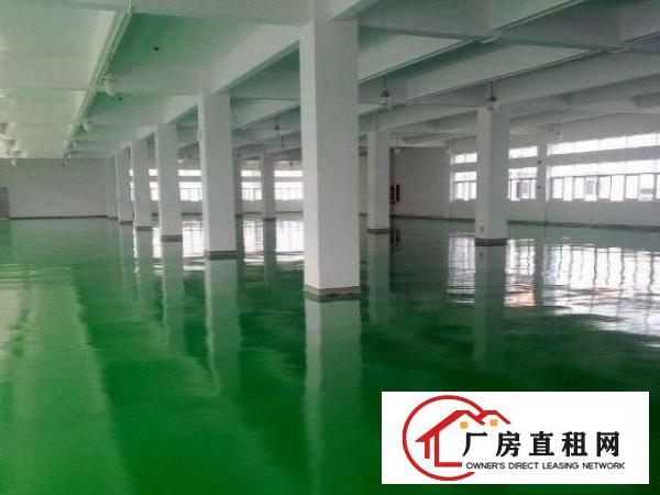 万江新谷涌标准一楼1000平方招租(有宿舍)