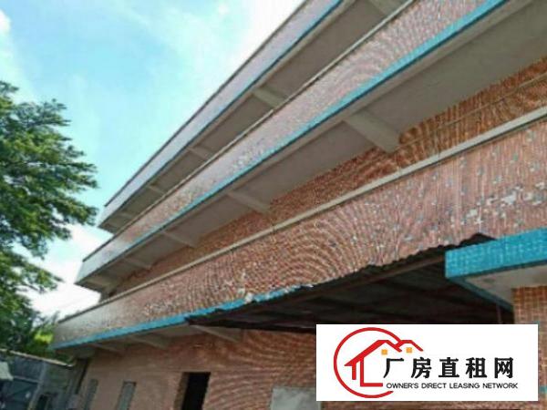  万江单一层独院1600平方招租，配套齐全、交通方便