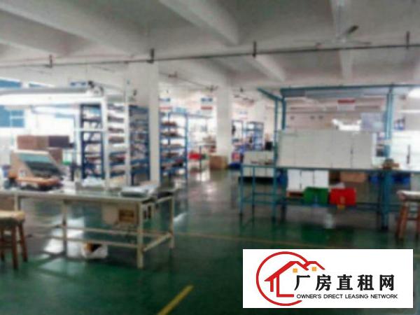  万江标准一楼厂房100-3000平米低价招租