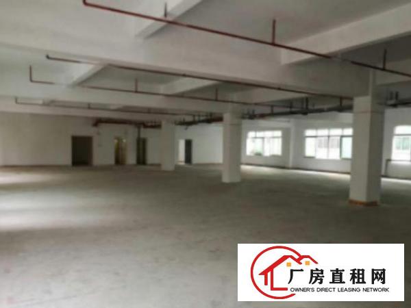  万江简沙洲标准厂房2楼1000平方带办公室装修适合贸易电子
