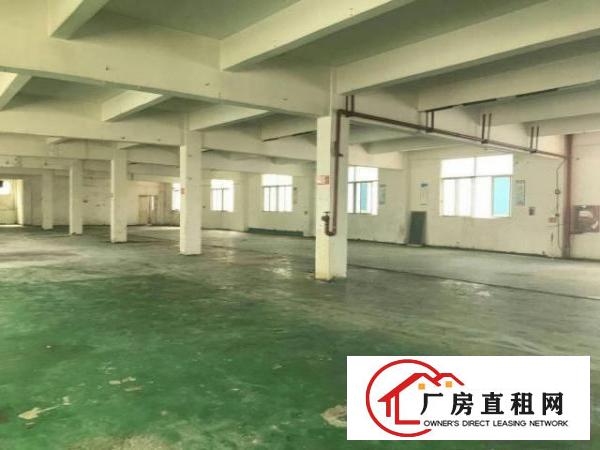  万江国道边标准厂房楼上三楼1300平方带消防喷淋出租