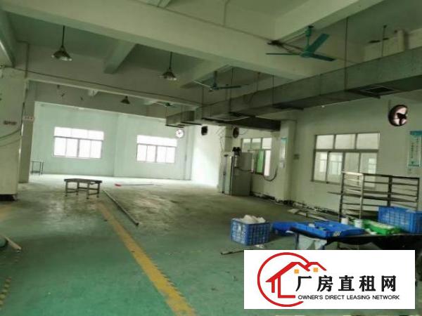  万江街道石美路段厂房
