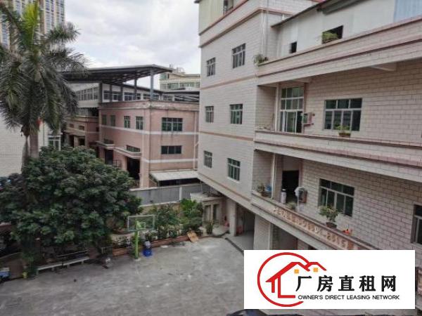  万江街道石美路段厂房