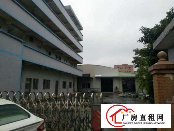  万江简沙洲环城路边单一层厂房3000平米招租交通方便