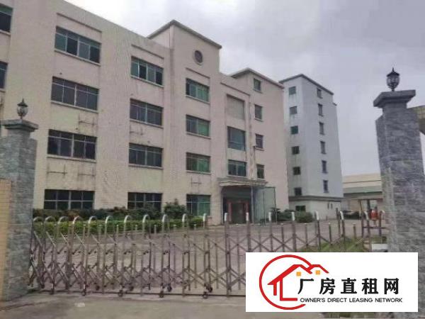  万江新出独门独院超大空地标准厂房，上市公司形象