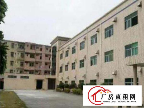  万江新出独门独院超大空地标准厂房，上市公司形象