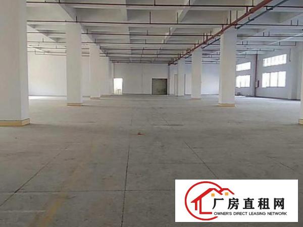  万江工业区2楼2000平米个人独院标准厂房招租价钱便宜