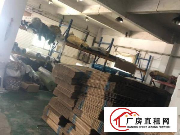  小享一楼厂房仓库出租
