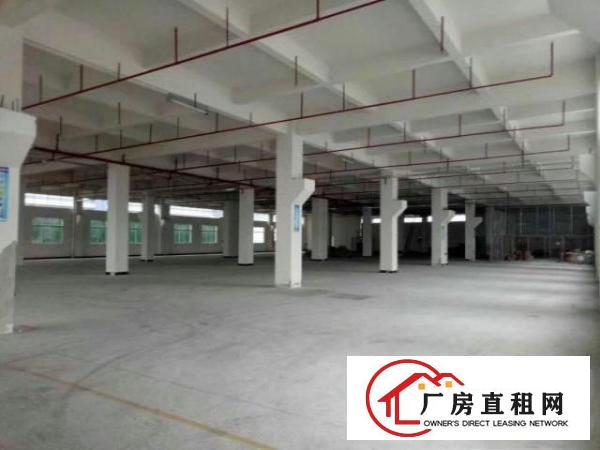  万江独院厂房分租一楼2000平方低价招租，带牛角