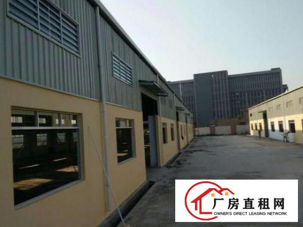  万江环城路外独院单一层厂房1000或独院1500平方招租