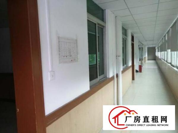  万江新房源出租，超大空地