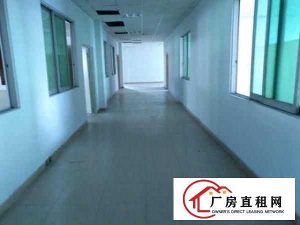  万江工业区独门独院标准厂房4500平方可分租1000