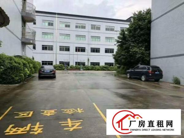  万江标准一楼厂房500-5000平米低价招租可装行车,成熟工