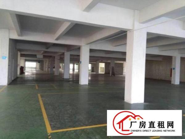  万江标准一楼厂房500-5000平米低价招租可装行车,成熟工