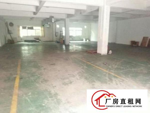  万江花园式厂房分租一楼1500平方,价格便宜地段好