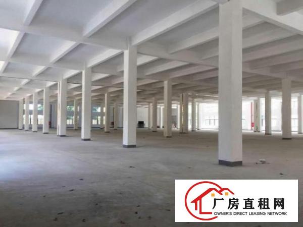  万江现有2000平方左右厂房招租分租环境优美，靠近大马路！