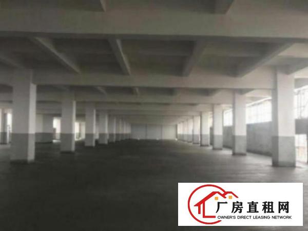  万江环城路外独院标准厂房1-3层5300平方出租带现成办公室