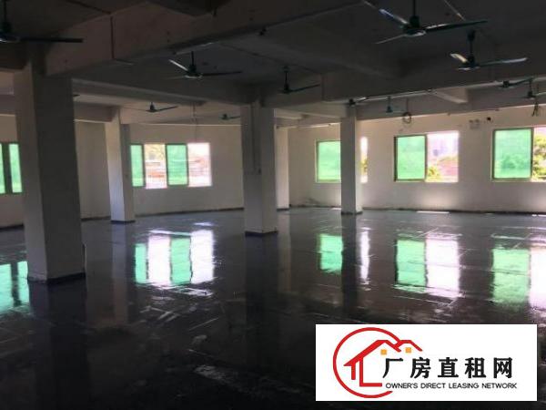  出租分租万江简沙洲1000平工业厂房，已经装修好