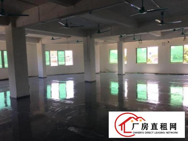  出租分租万江简沙洲1000平工业厂房，已经装修好