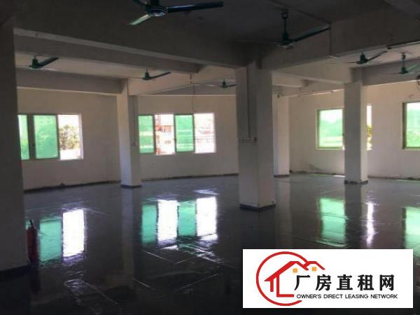  出租分租万江简沙洲1000平工业厂房，已经装修好