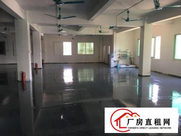  出租分租万江简沙洲1000平工业厂房，已经装修好