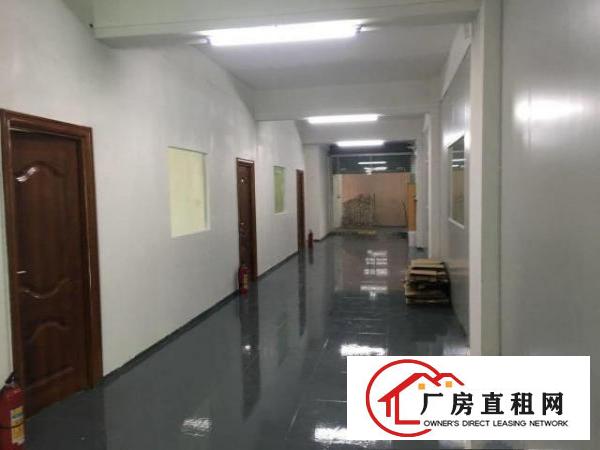  出租分租万江简沙洲1000平工业厂房，已经装修好