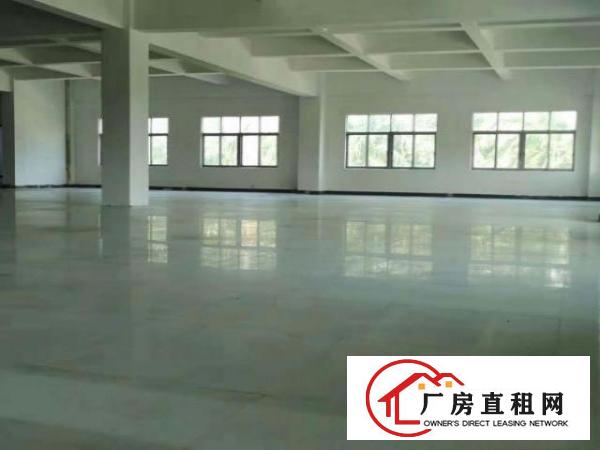  万江工业区标准厂房1500平方出租配有2吨电梯