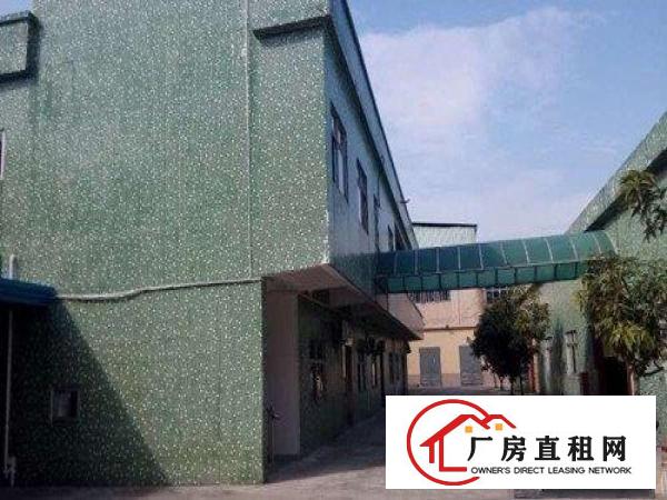  万江黄粘洲原房东独门独院单层铁皮房2300方厂房出租