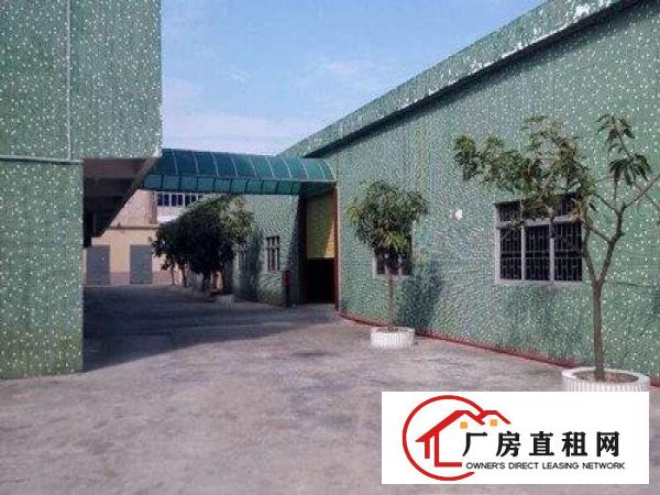  万江黄粘洲原房东独门独院单层铁皮房2300方厂房出租