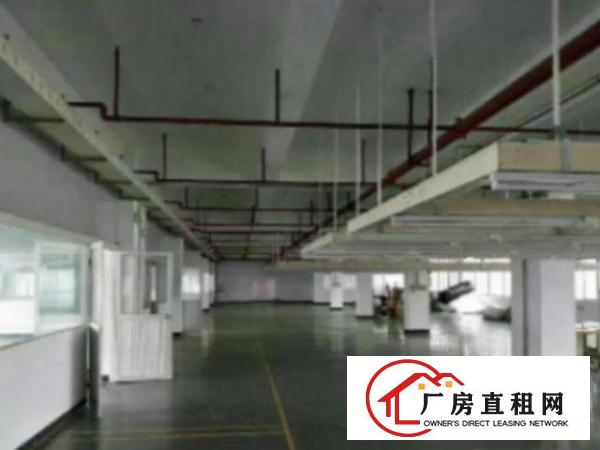  万江环城路附近现有650平方厂房招租出租