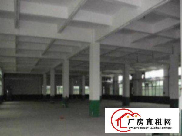  万江滘联标准厂房分租一楼2000平方形象好出租