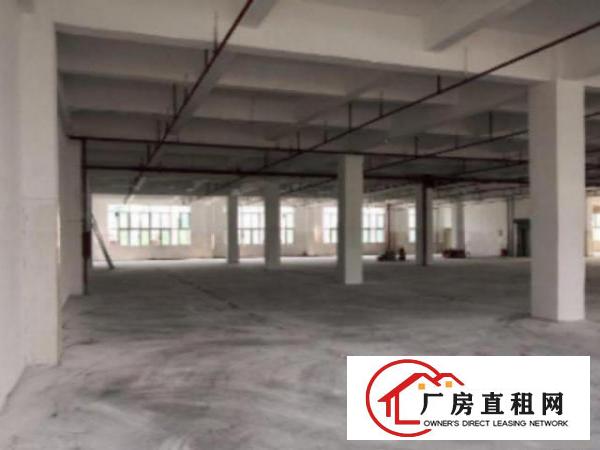  万江周边一楼750厂房出租