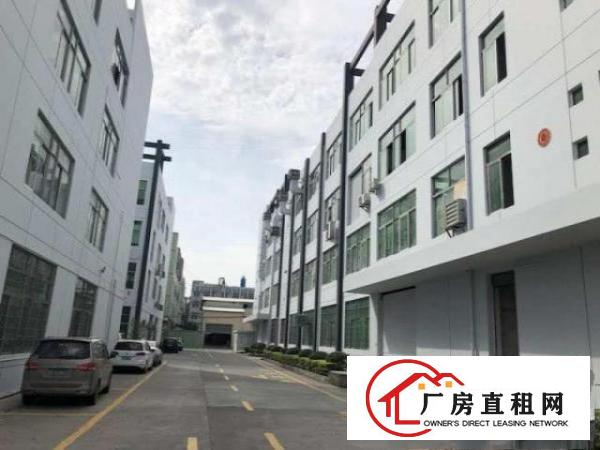  万江标准一楼厂房800平方米层高5.5米,适合五金机械等行业