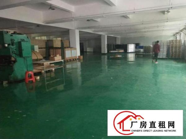  万江新出2楼带地坪漆厂房2000方出租大小可分租