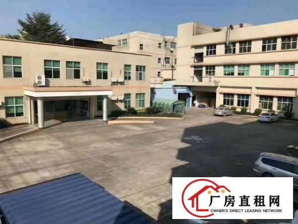  万江800或1000㎡出租(配套齐全标准一楼厂房
