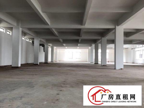  万江石美工业区标准厂房2楼1300平方出租现成装修办公室