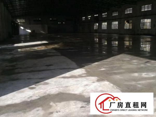  万江单一层铁皮房带隔热层4600平方,形象佳交通好