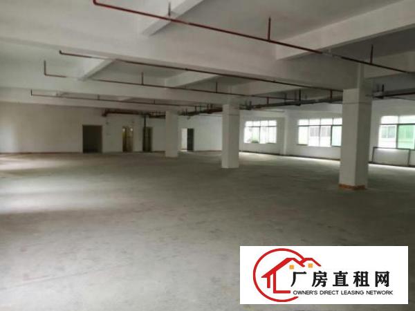  万江工业区标准厂房分租楼上1600平方出租交通方便，位于工业