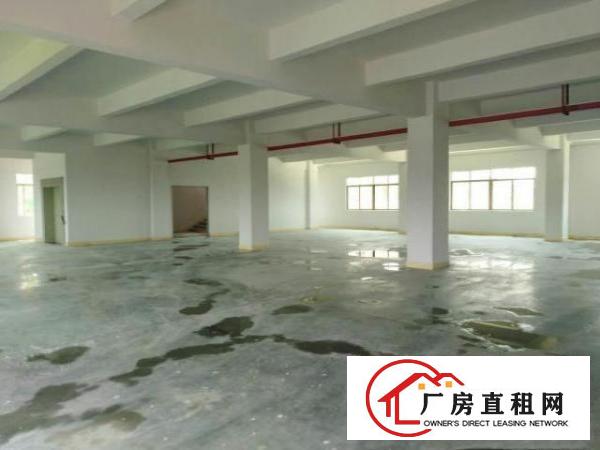  万江5000平方标准独院3层花园式厂房招租大马路边上，大货车