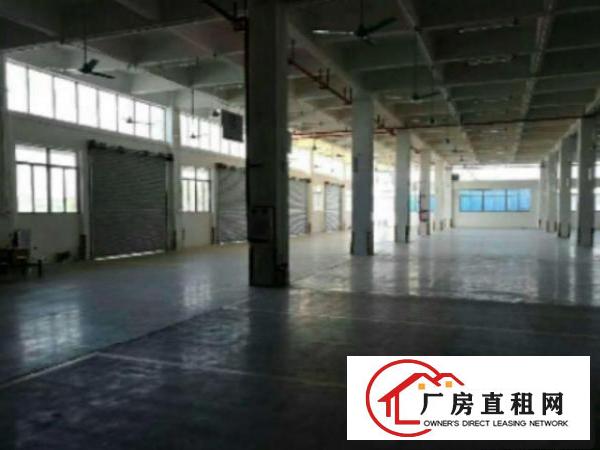  万江简沙洲港口大道边3楼4500平方厂房仓库出租轻工业生产等