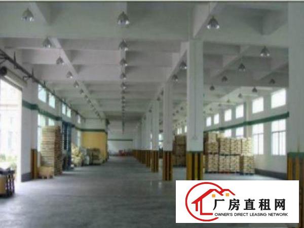  万江简沙洲港口大道边3楼4500平方厂房仓库出租轻工业生产等