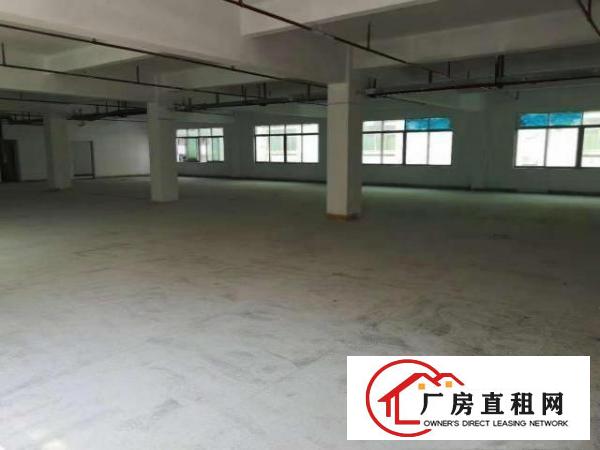  万江简沙洲新出独院标准楼上厂房1100平方出租