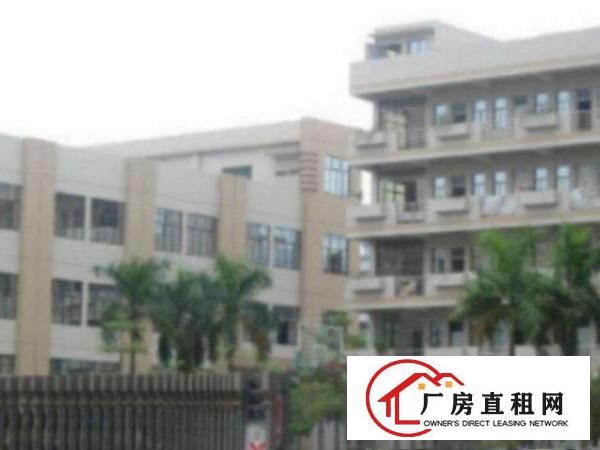  万江带现成装修标准一楼600平方招租2间办公室装修，现成水电