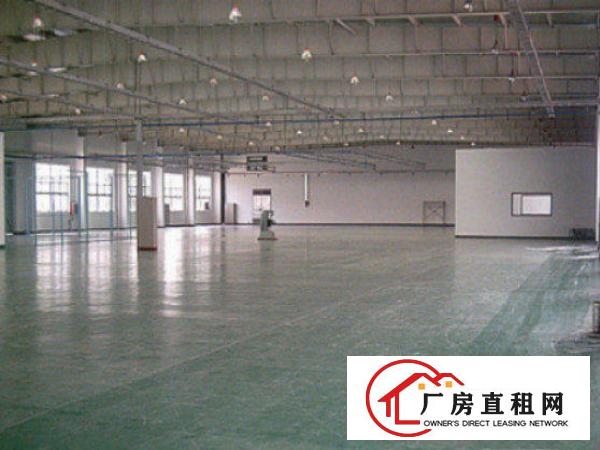  万江标准一楼厂房800平方米，层高5米，适合各行业‌‌