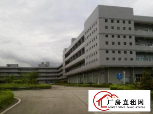  万江标准一楼厂房800平方米，层高5米，适合各行业‌‌